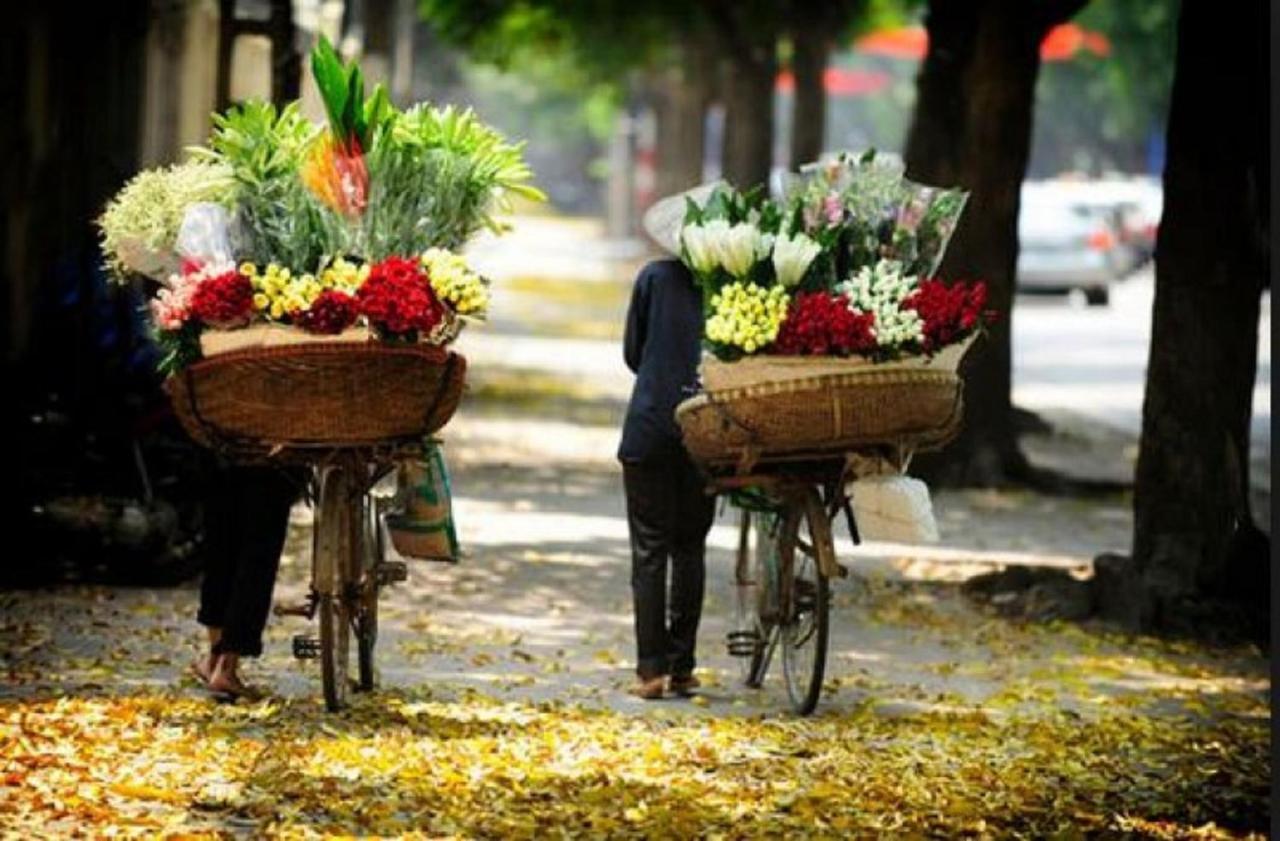 - Lữ Hành Mr Sun Hà Nội